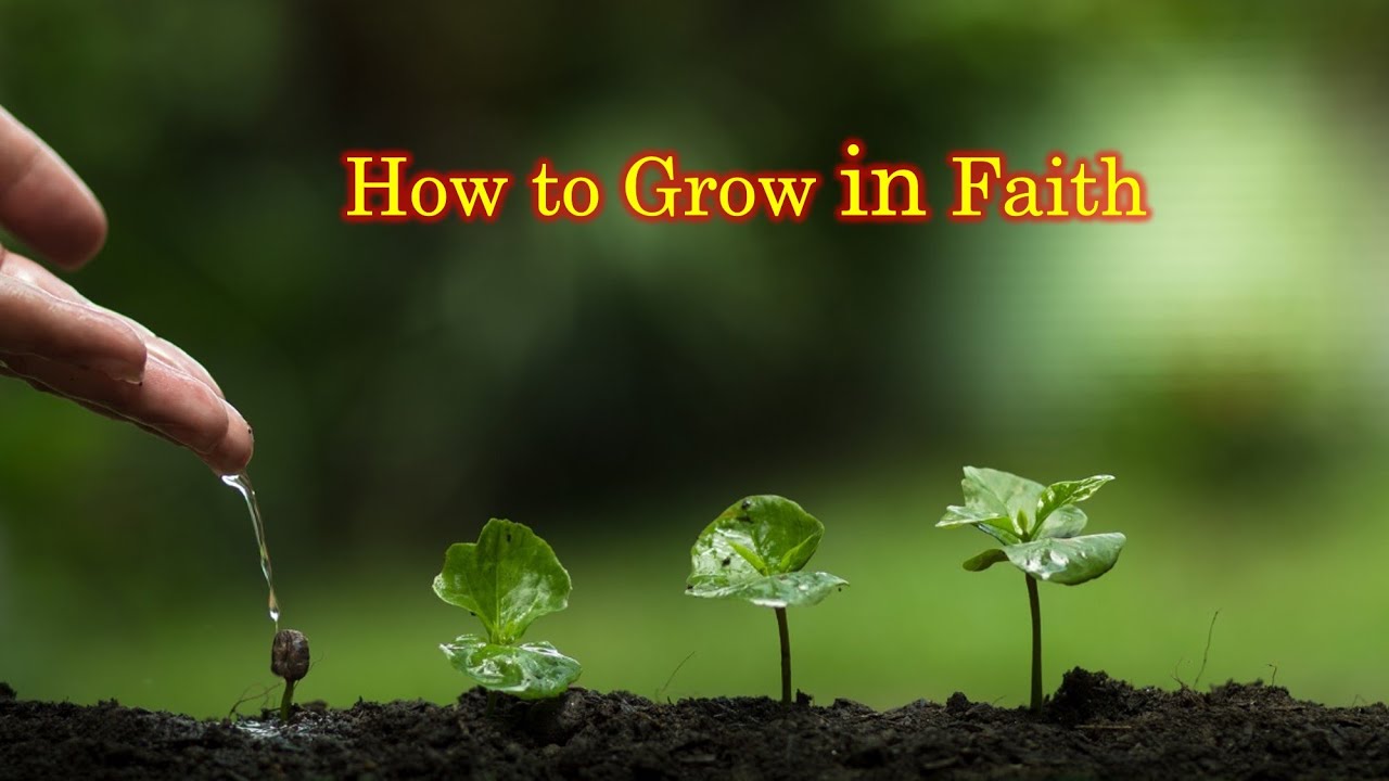 Professional and personal growth in faith