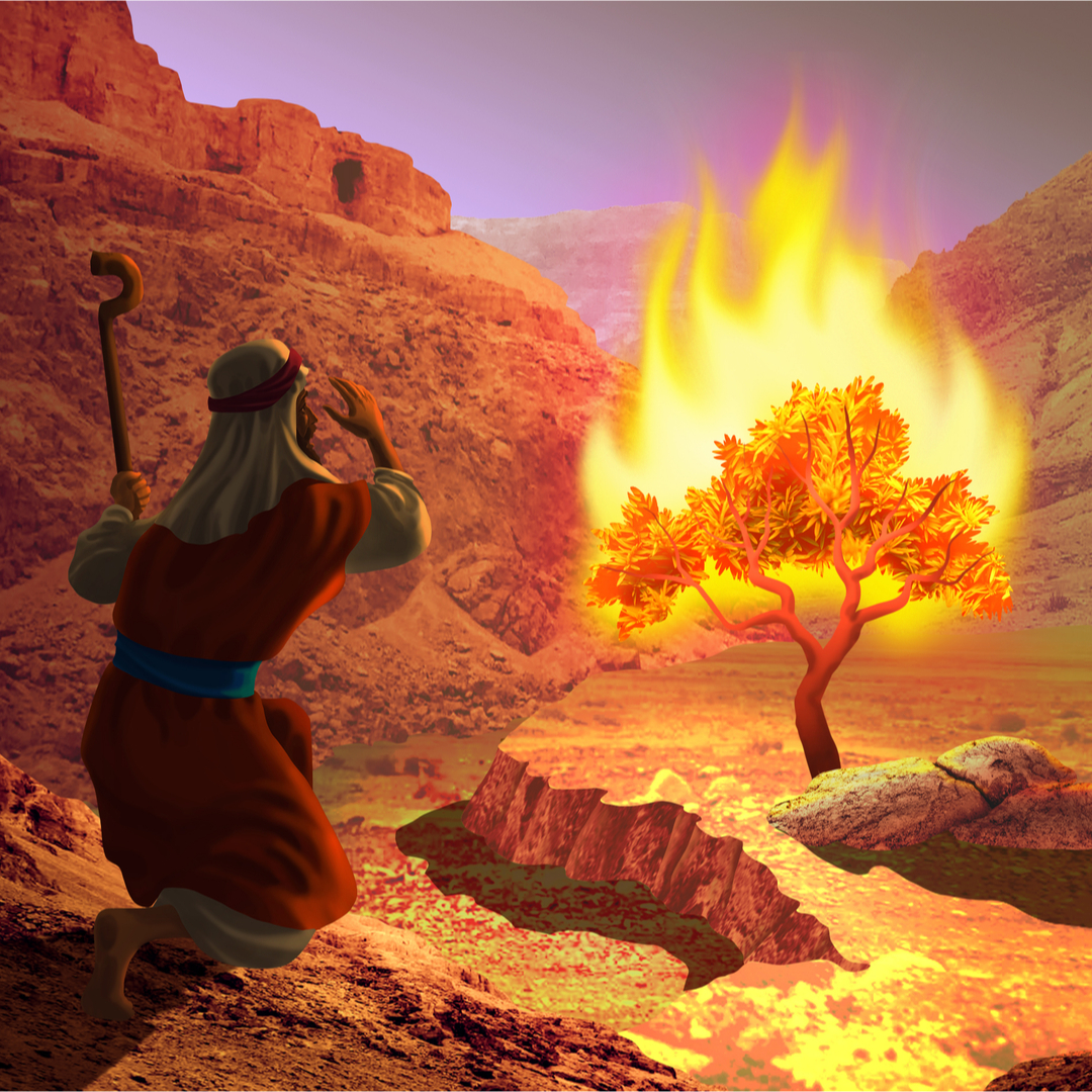 Burning bush Moses