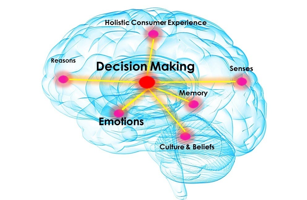 Human Brain Decision Making