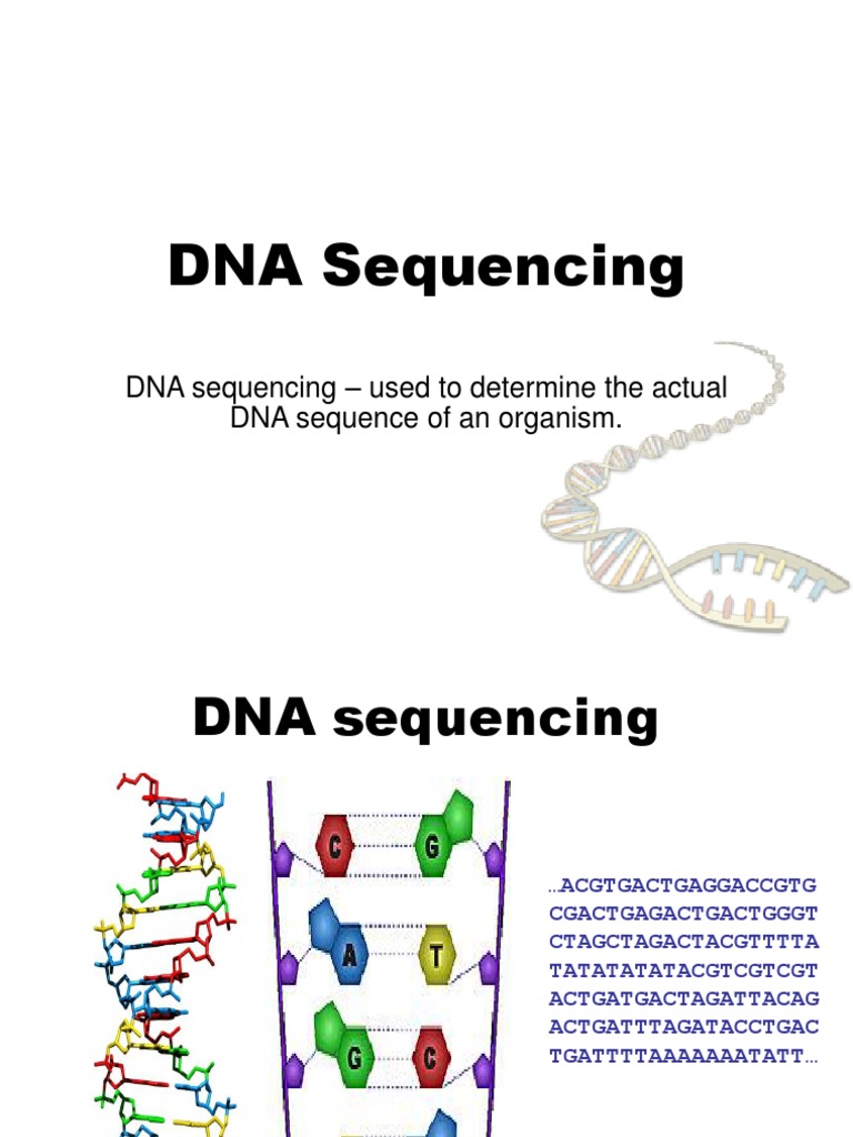 Molecular biology DNA sequence