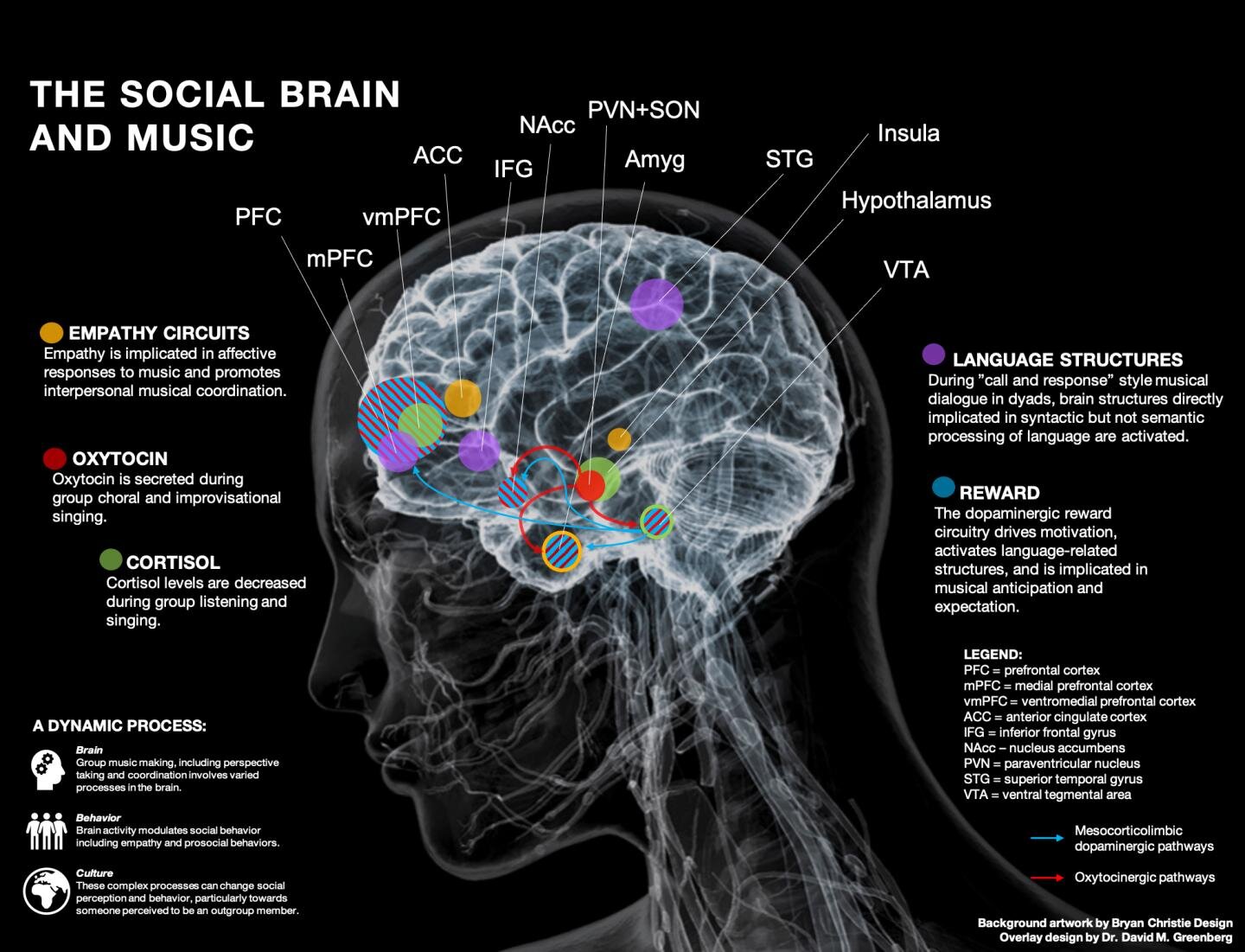 Musicians playing an orchestra with a focus on symbiosis between creativity and brain function