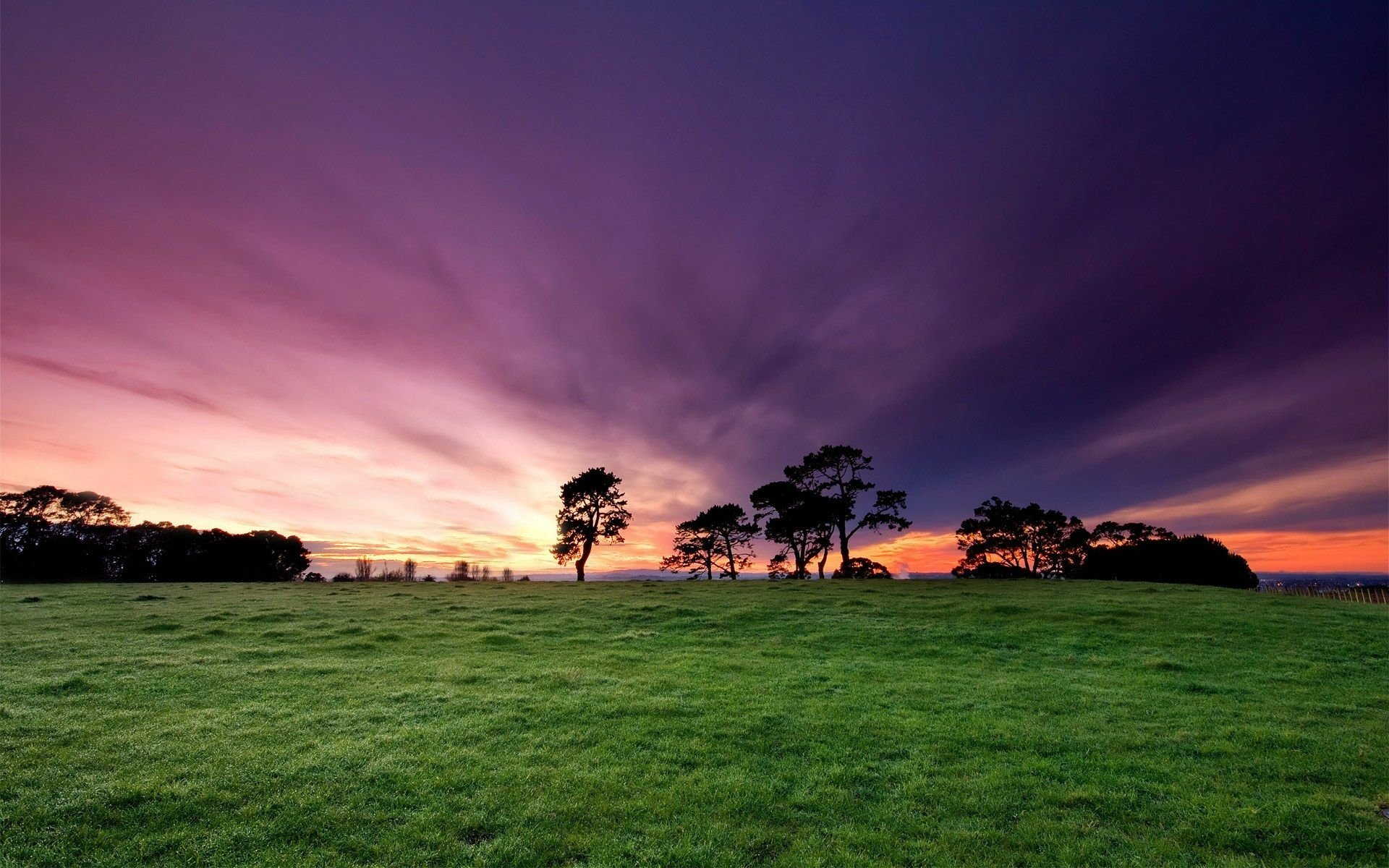 Open field with a sunrise symbolizing free will and possibility